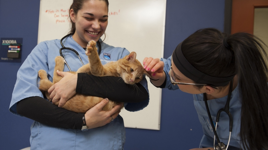 two vet techs with a cat